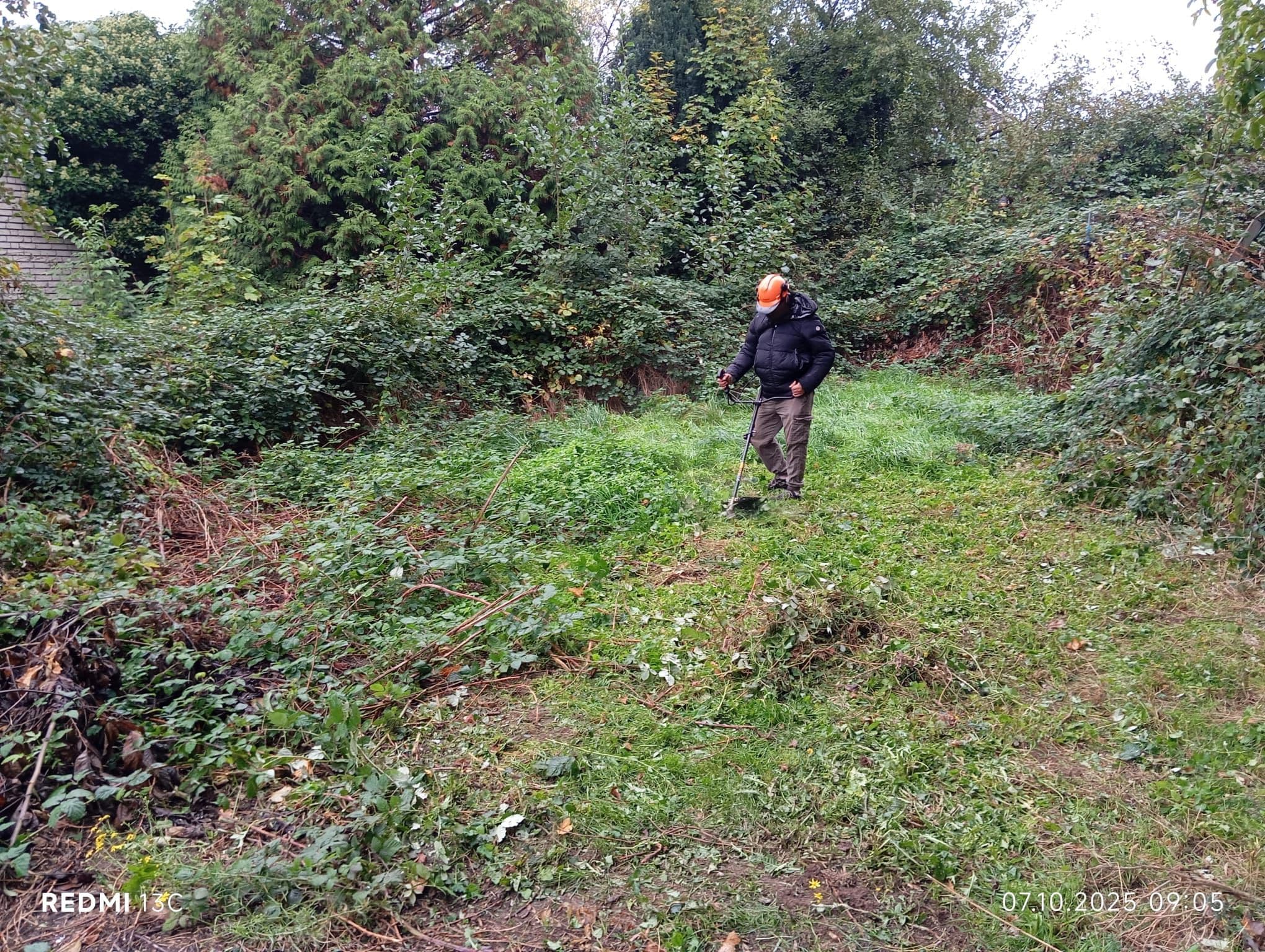 Gartenneuanlage frechen