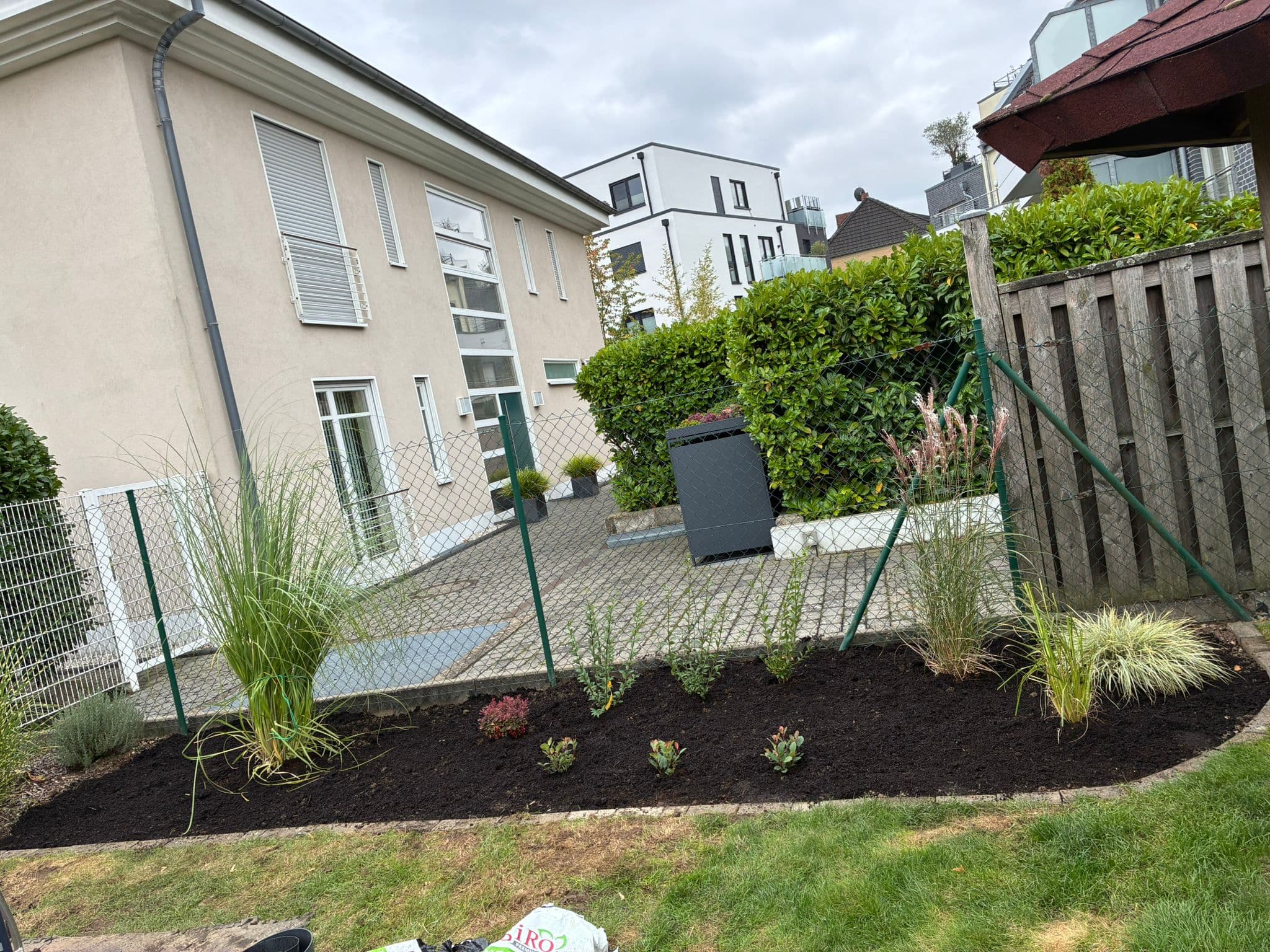 Unkraut entfernen frechen